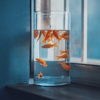 Ảnh đại diện người dùng Xuân Trang